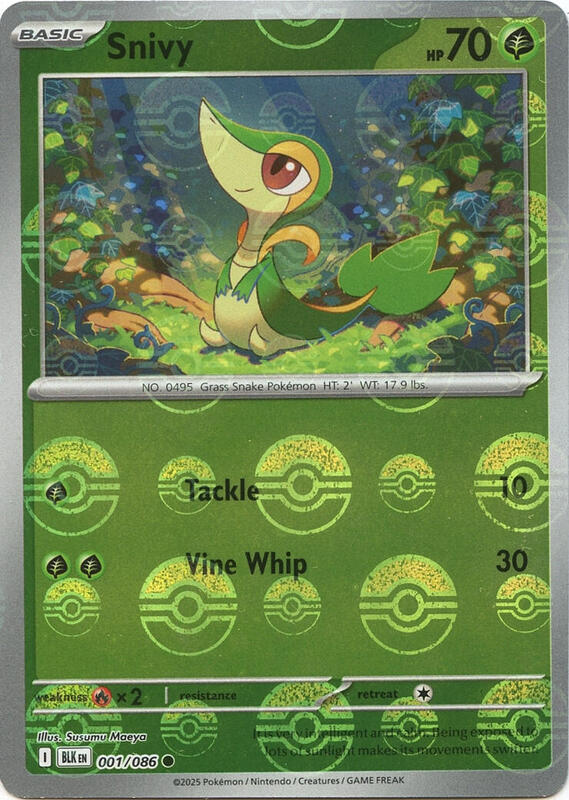Snivy