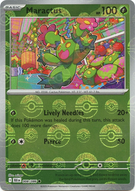 Maractus