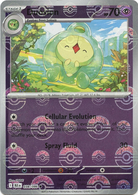Duosion