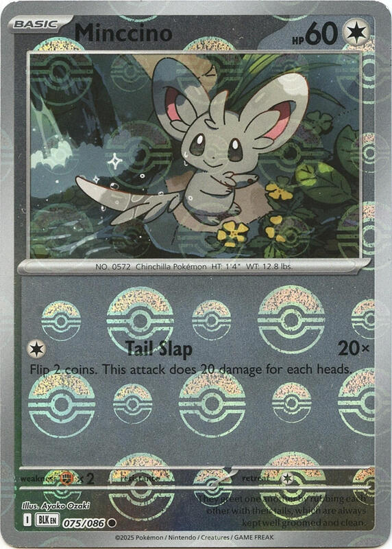 Minccino