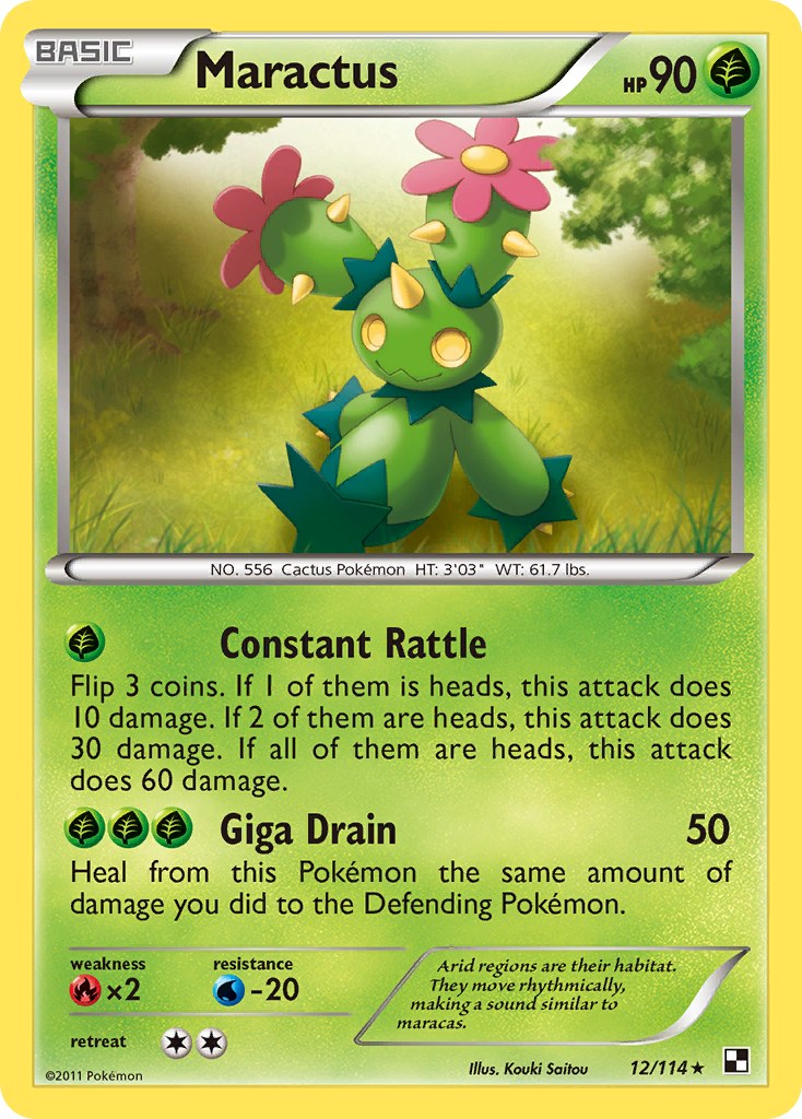 Maractus (12)