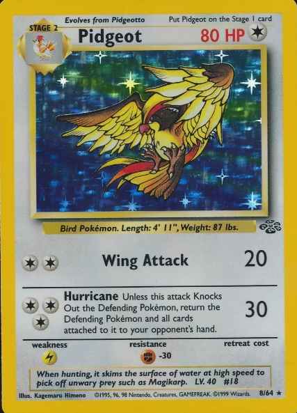 Pidgeot (8)