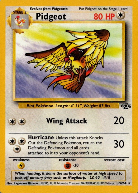 Pidgeot (24)