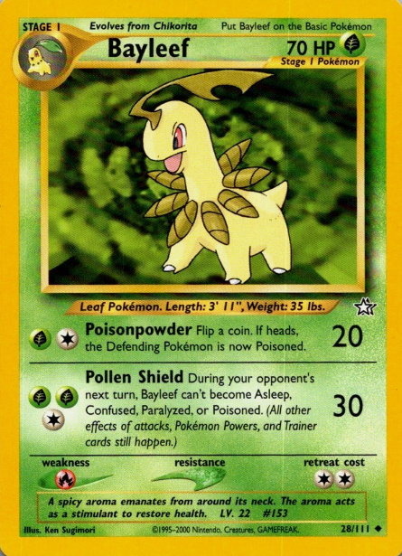 Bayleef (28)
