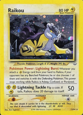 Raikou (13)