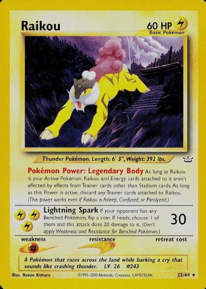 Raikou (22)