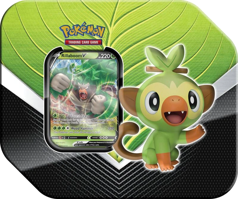Galar Partners Tin [Rillaboom V]