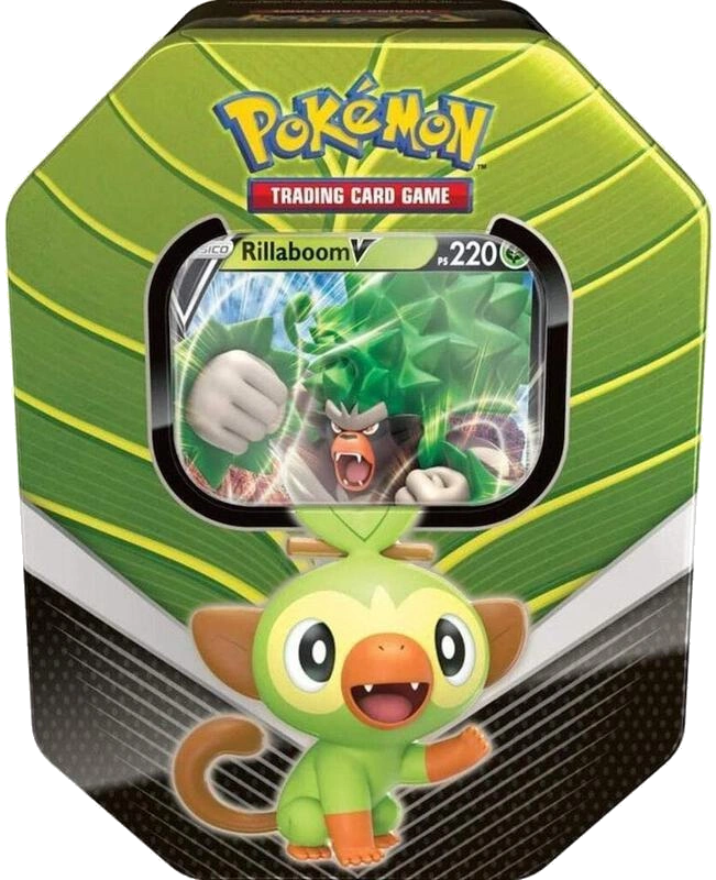 Galar Partners International Tin [Rillaboom V]